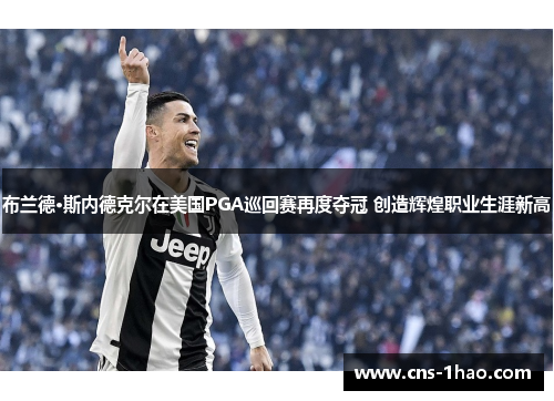 布兰德·斯内德克尔在美国PGA巡回赛再度夺冠 创造辉煌职业生涯新高 布兰德·斯内德克尔在美国PGA巡回赛再度夺冠 创造辉煌职业生涯新高