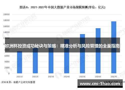欧洲杯投资成功秘诀与策略：精准分析与风险管理的全面指南