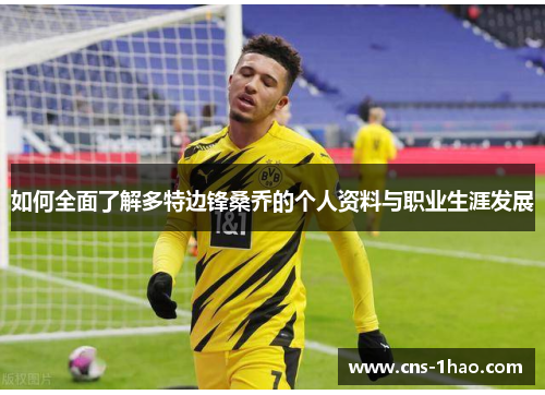 如何全面了解多特边锋桑乔的个人资料与职业生涯发展