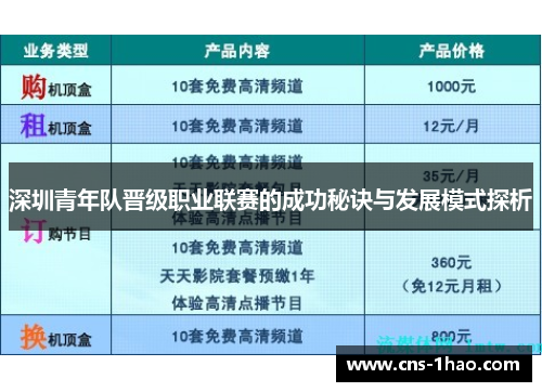 深圳青年队晋级职业联赛的成功秘诀与发展模式探析