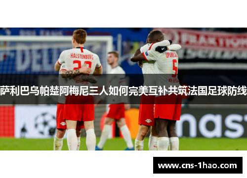 萨利巴乌帕楚阿梅尼三人如何完美互补共筑法国足球防线