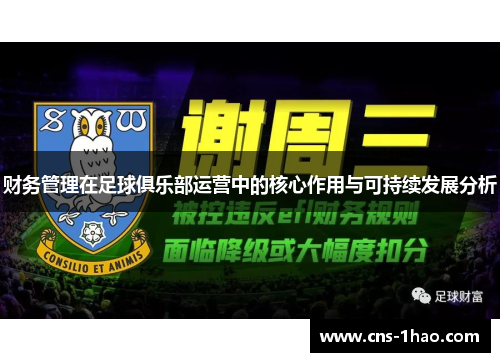 财务管理在足球俱乐部运营中的核心作用与可持续发展分析