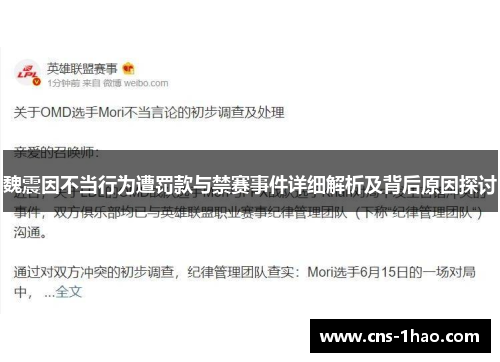 魏震因不当行为遭罚款与禁赛事件详细解析及背后原因探讨