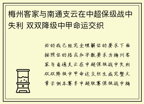 梅州客家与南通支云在中超保级战中失利 双双降级中甲命运交织